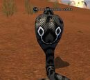 A sunvenom cobra