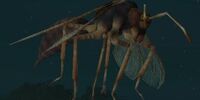 Furious wasp