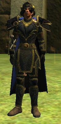 T9 Chain DPS - Normal (Armor Set) (Visible, Male)