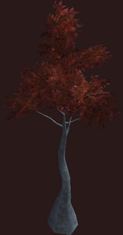 Young Russet Darkleaf Sapling (Placed)