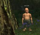 A lost scout