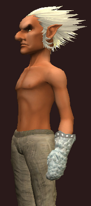Oracle's Handguards of the Fatebringer (Equipped)