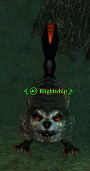 Blightwhip