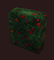 Red Rose Topiary Placed