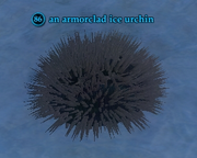 An armorclad ice urchin