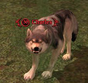 Charles