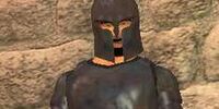 Outland Sentry Conlor