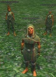Sage Delkkunn