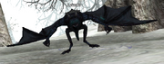 Leizoth