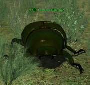 A noxious klakrok