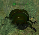 A noxious klakrok