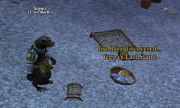 Yeppa's Last Stand (Verification)