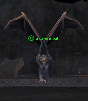 A cavern bat