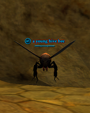 A young hive bee