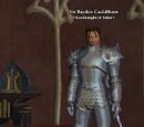 Sir Bayden Cauldthorn