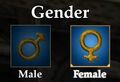 Gender.jpg