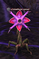 A briarthorn sprout.png