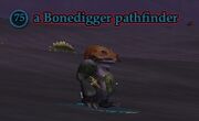 A Bonedigger pathfinder