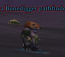 A Bonedigger pathfinder