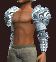 Knight's Pauldrons of the Citadel (Equipped)