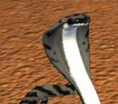 A pit cobra