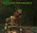 A Faro' Nuk conscript