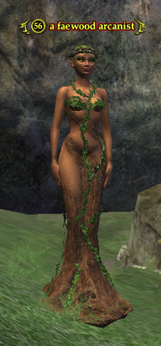 A faewood arcanist