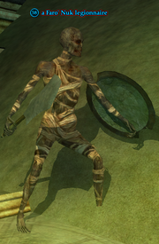 A Faro' Nuk legionnaire