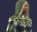 Outrider (Armor Set)