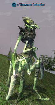 A Vornerus intruder