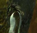A Swifttail caste servant