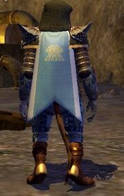 Cloak of Tranquility worn