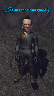 An expedition guard