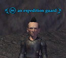 An expedition guard