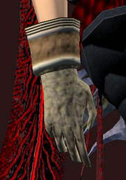 Initiate's Handwraps of the Crane (Equipped)