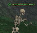 Scorched skeletal wizard