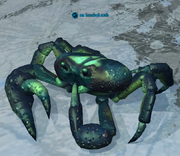 An Iceclad crab