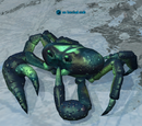 An Iceclad crab
