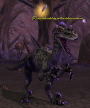 An ambushing withertalon matron