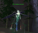A Sullian deceiver