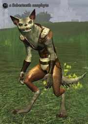 A Sabertooth neophyte