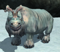 A brontotherium bull.png