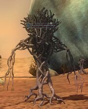 An uprooted abomination