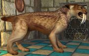 A sabertooth kadaren escapee