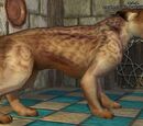A sabertooth kadaren escapee