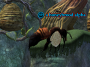 A honeybrood alpha