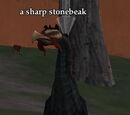 A sharp stonebeak
