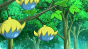 EP830 Bayas Pasio.png