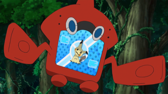 Pikachu Pikachu