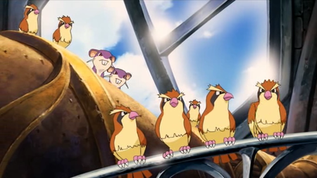Resultado de imagen para rattata y pidgey